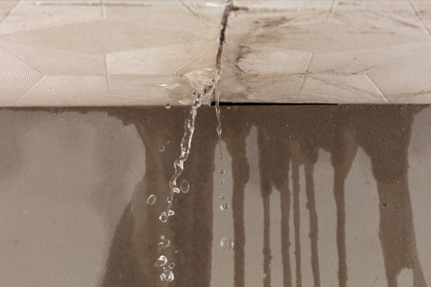 Professional Structural Drying technician working in Wyandotte, MI